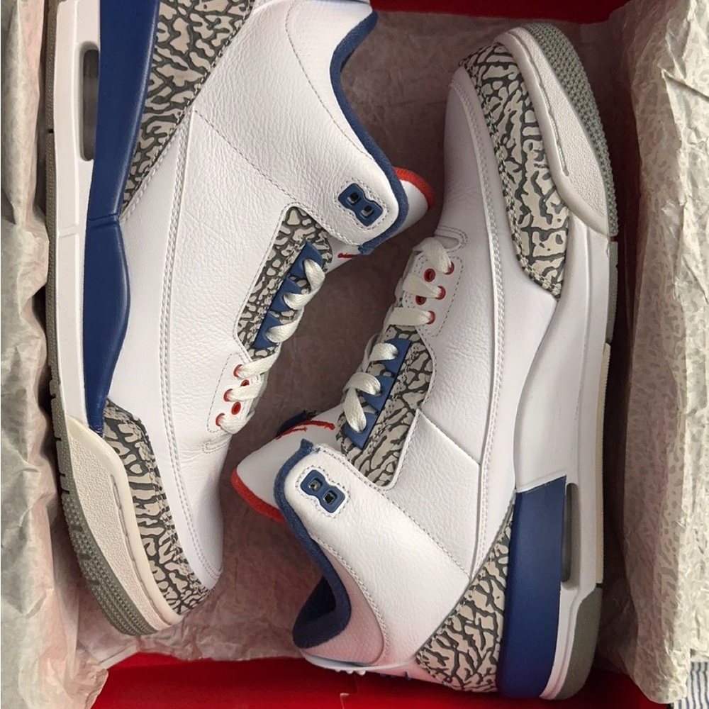 Air Jordan 3 True Blue (2016)